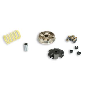 MULTIVAR 2000 VARIATOR