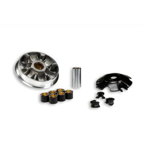 MULTIVAR 2000 VARIATOR