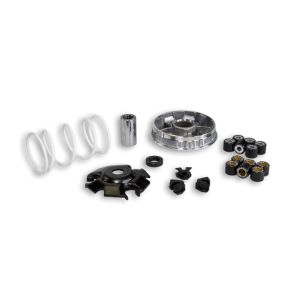 MULTIVAR 2000 VARIATOR